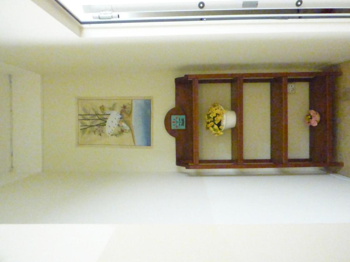 Consul Hotel 里米尼 外观 照片